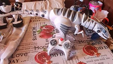 Roboraptor