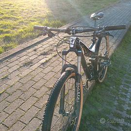 Specialized stumpjumper