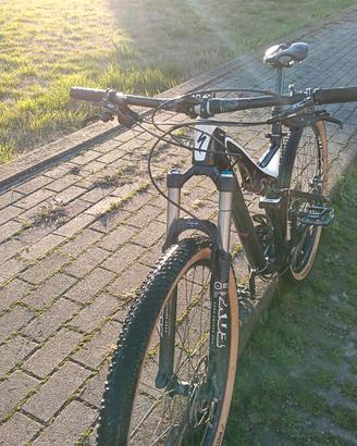 Specialized stumpjumper