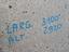 Immagine 2