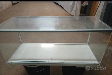 vetrina porchetta gastronomia 