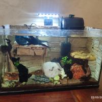 acquario 30 LT in pietra 