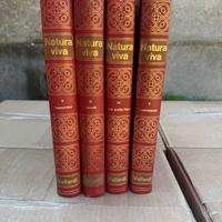 Natura Viva quattro volumi