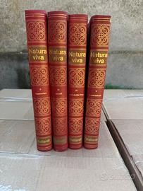 Natura Viva quattro volumi