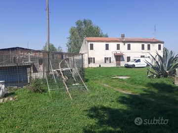 Casa indipendente/ rustico