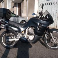 Honda transalp 99"