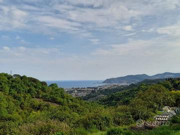 Terreno di 5000 m² a Savona