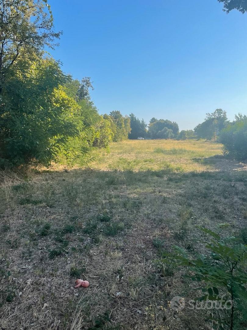 terreno agricolo 5000 mq 2 accessi in abitato - Altro
