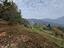 Immagine 7