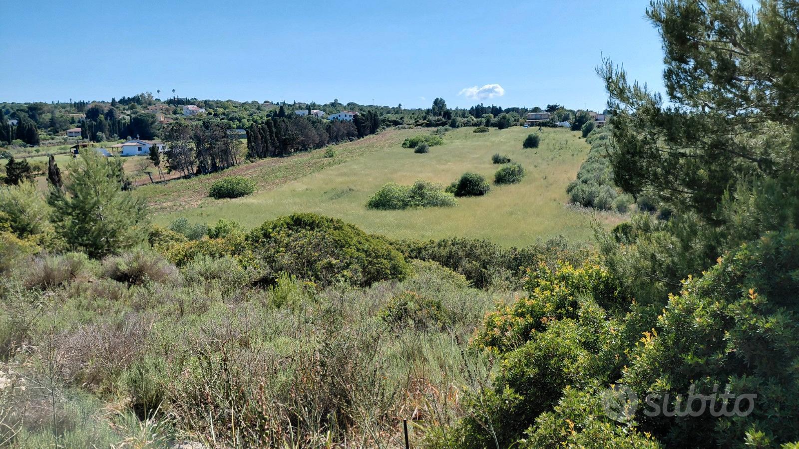 Terreno baddelonga russeglia - sassari - Altro