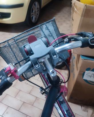 bicicletta