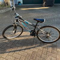 Bici smp scale