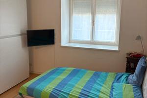 A ragazza studentessa universitaria