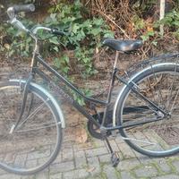 bicivlrtta adriatica 