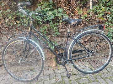 bicivlrtta adriatica 