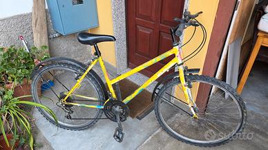 Mountain Bike usata