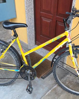 Mountain Bike usata