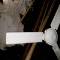 Ventilatore da soffitto