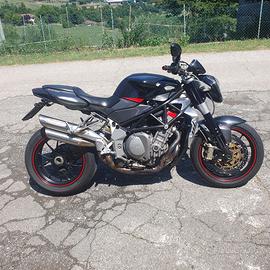 mv agusta brutale 910 r