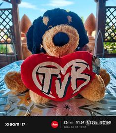 Peluche cane con Cuore "TVB" Cucciolandia Roccucci