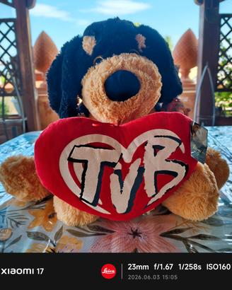 Peluche cane con Cuore "TVB" Cucciolandia Roccucci