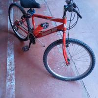 mountain-bike 20 rossa
