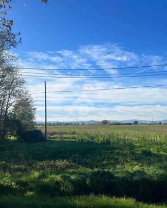 TER. AGRICOLO A RAVENNA