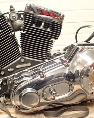 MOTORE Harley Davidson Low Rider FXDLS 66.118 km