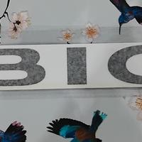 Jeep Wrangler Rubicon, adesivi neri in pvc