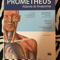 PROMETHEUS - Atlante di Anatomia (2ª)