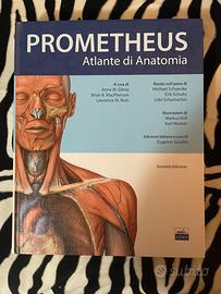 PROMETHEUS - Atlante di Anatomia (2ª)