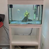 Acquario Askoll pure led 70 litri