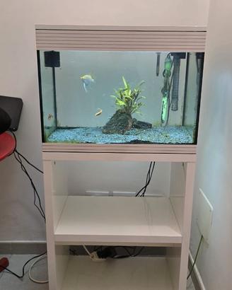 Acquario Askoll pure led 70 litri