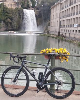 BICI DA STRADA GIANT TCR