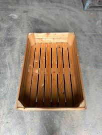 mini cassone per ortaggi