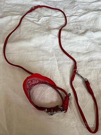 Set collare e guinzaglio per cani