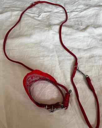 Set collare e guinzaglio per cani