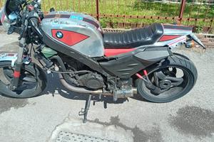 disponibile subito