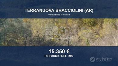 Immobile in asta di 147105 m² a Terranuova Braccio
