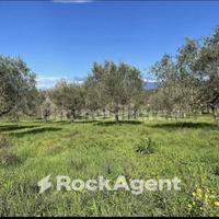 TERRENO AGRICOLO CON PERMESSO A COSTRUIRE APPROVAT