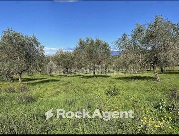 TERRENO AGRICOLO CON PERMESSO A COSTRUIRE APPROVAT