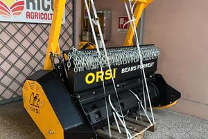 Orsi Bear Forest 170