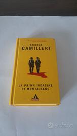 LA PRIMA INDAGINE DI MONTALBANO