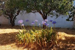 Terreno edificabile pochi Km da Otranto