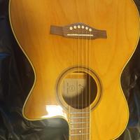 Chitarra Eko acustica 