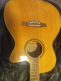 Chitarra Eko acustica 