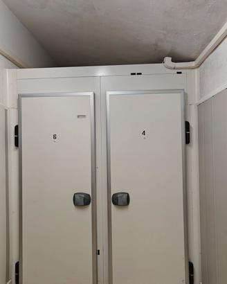 cella frigo stagionatura 
