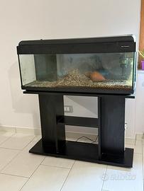 Acquario