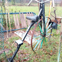 Triciclo Particolare