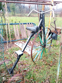 Triciclo Particolare